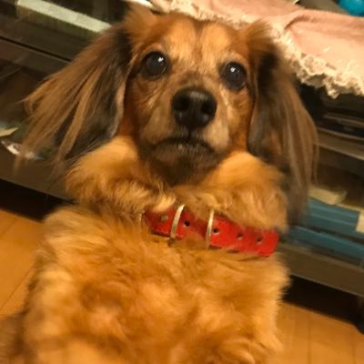 PoppinCoco's profile picture