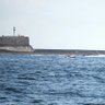 Фото профиля Русский Саудовский