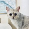 kevin827 的头像