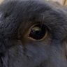 Profilbild von Reel Buddy