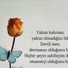 MehmetDMR 的头像