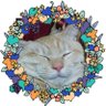 Profilbild von key
