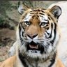 Kiunga_3rd's profile picture