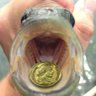 Mini Minnow 的头像
