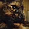 Умная инициатива's profile picture