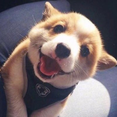 er99498417's profile picture