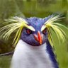 Dr. Teun Voeten profil fotoğrafı