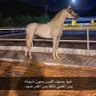 NA profil fotoğrafı