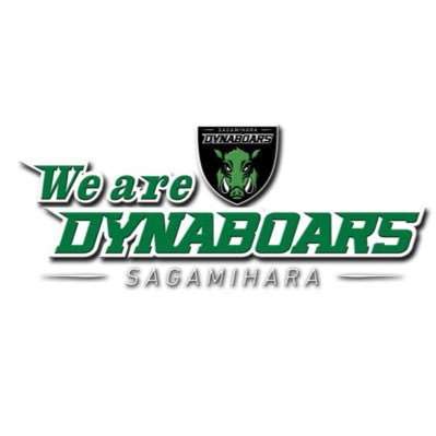 We are DYNABOARS!'s profile picture