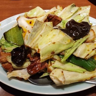 白井悠介's profile picture