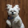 Suely 0408 profil fotoğrafı