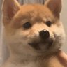 Profilbild von LOL