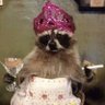 Stephanie McGowan's profile picture