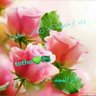 Фото профиля 🇸🇦 Mariam Mahmood