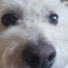 Profilbild von Gail Mirus, thriving on 86