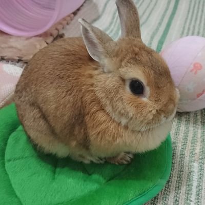 air's profile picture