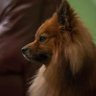 Profilbild von Knc_2021