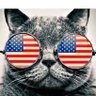 Rhonda's profile picture