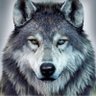 Lord_Thyrion profil fotoğrafı
