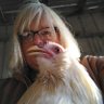 Profilbild von Lorelei the Great