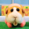 Xiang's profile picture