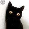 Inés profil fotoğrafı