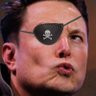 Pirate Musk 的头像