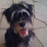 Profilbild von Asser Parreu Urgeles