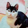 ののしゃん。's profile picture