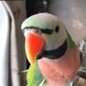 Profilbild von ちゃ
