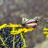 りー profil fotoğrafı
