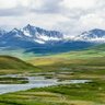 Zia Marwat profil fotoğrafı