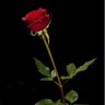 Фото профиля الحمدالله