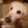 けーた's profile picture