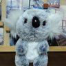 さとらん🐇 profil fotoğrafı