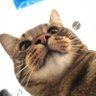 Profilbild von Lisa R.
