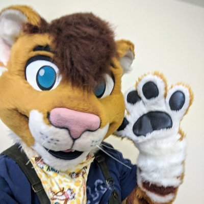 ~TigonKitten~'s profile picture