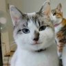 PLAY's profile picture