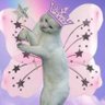 osie's profile picture