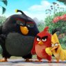 Фото профиля angryBird