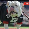 Profilbild von Damn Good Dawgs 🔴⚫