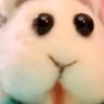 しの's profile picture