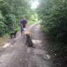 I won’t take care 🇬🇧🐕🌍🏉🥊⛳️🏊♂️🏃👀 profil fotoğrafı
