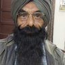 Upjit Singh Brar's profile picture