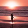 🕊🌴 Russ McEstes 🌴🌿 profil fotoğrafı