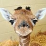 Be Thinkful's profile picture