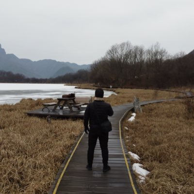 treenewbeeooO's profile picture