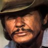 Profilbild von A Regular Charlie Bronson