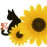 ひまわり猫。's profile picture