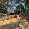 いわき甲斐楽園 profil fotoğrafı
